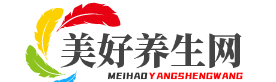 新能源知识网
