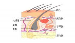 腋臭患者的饮食注意
