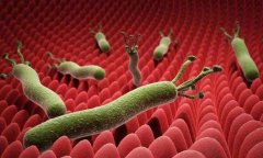 【襄阳东大肛肠医院怎么样】下腹长期＂咕咕＂叫，还有便秘、腹胀的现象，这是什么原因？