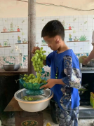 “世界以痛吻我 我却报之以歌”戈壁藏族乡“小耳”初长成