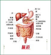 你不知道的“肠”识，呼市东大肛肠医院收费贵吗？